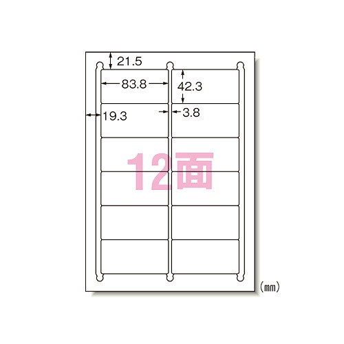 エーワン(A-one) ラベルシール プリンタ兼用 A4 12面 31275(46113)