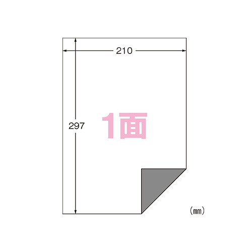 (A-one) ٥륷 ץ󥿷 A4 Ρå Ϥ뽤 1ѥå(12) 31281(50665)