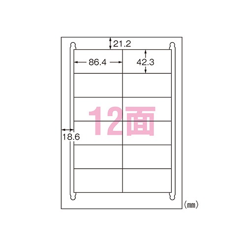 (A-one) ٥륷 ץ󥿷 A4 12 楿  1ѥå(100) 31334(48628)