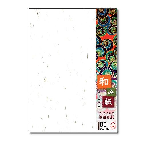 Ĺ粰Ź ¥߻   B5 1(100P) -751V(42695)
