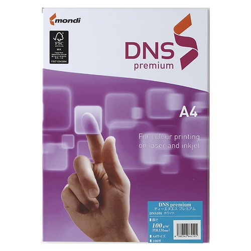 첰 DNS premium A4 100g DNS501(32473)