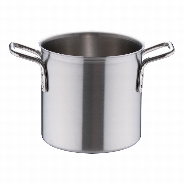 寸胴鍋 トリノ 21cm サテン仕上げ AZV7501