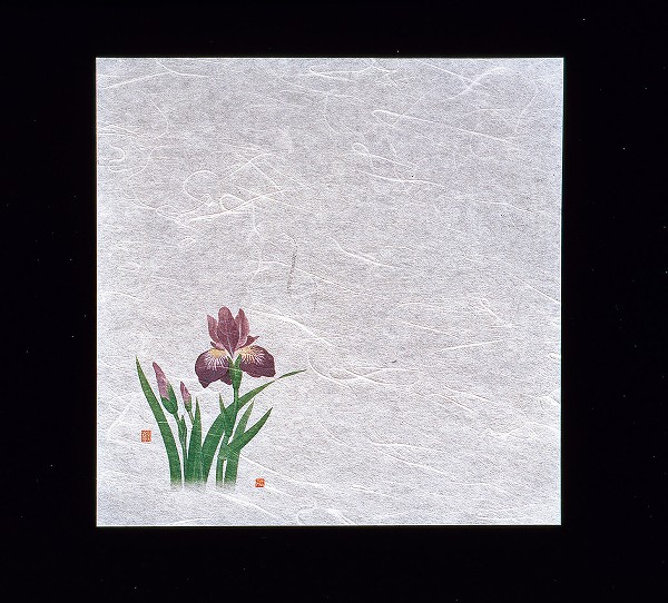 ヤマコー(Yamaco) 新・濡れ奉書紙 菖蒲 200×200mm 入数：1セット(100枚入) QHU14