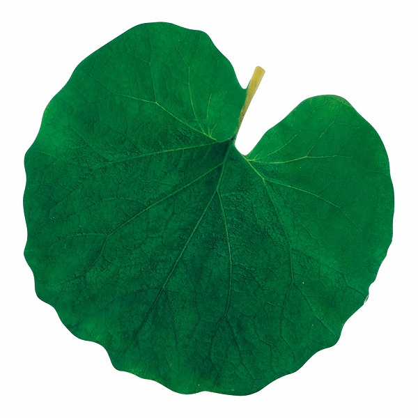 ヤマコー(Yamaco) 型抜きクリアシート ふき 入数：1セット(200枚入) 65365(QKL1802)