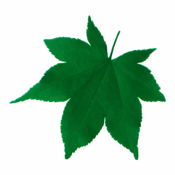 ヤマコー(Yamaco) 型抜きクリアシート ミニ・青もみじ 入数：1セット(200枚入) 65783(QKL2001)