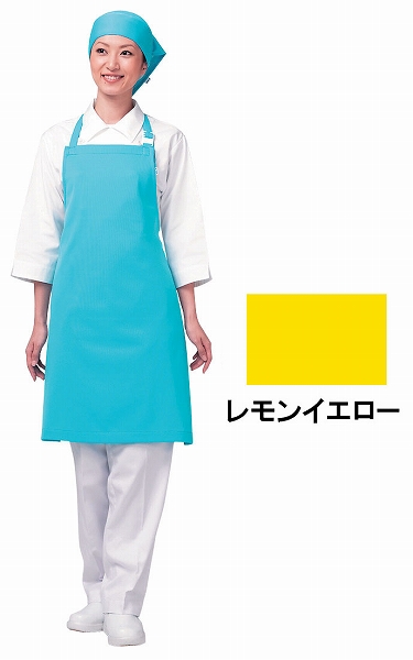 ���R�E(WAKO) �G�v���� �������C�G���[ ��|���^�C�v �A�C���b�V�� E5200(SEPB804)