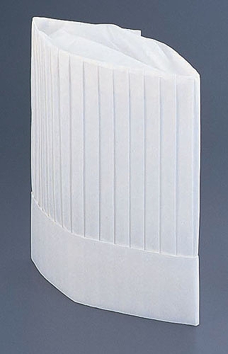 PAL �p���X�n�b�g 250mm �����F1�Z�b�g(10����) PH-25(SHT4402)