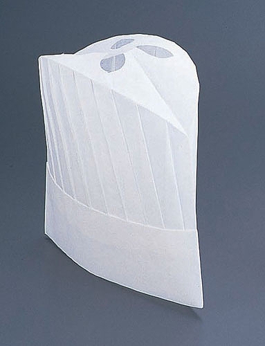 PAL �p���X�n�b�g 250mm ���^ �����F1�Z�b�g(10����) PH-115(SHT4701)