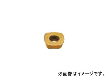 MOLDINO フライス切削用インサート SDMT1505ZDTN-R15 1ケース（10個入）