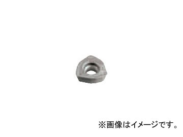 MOLDINO 使用インサート Fig-4 14×5.56mm WDNT140520ZH 1ケース（10個入）