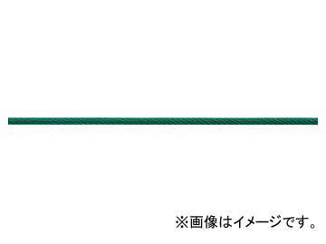 ニッサチェイン/NISSA CHAIN 鉄ワイヤーロープビニコートタイプ リール巻 緑 100m巻 R IY45V JAN：4968462119714 :427681600:オートパーツエージェンシー