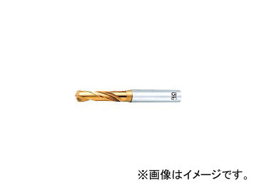 �I�[�G�X�W�[/OSG EX�S�[���h�h���� ��ʉ��H�p�X�^�u EXGDS6.65(6303501)