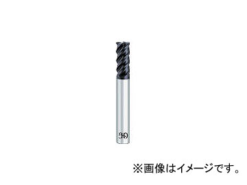 �I�[�G�X�W�[/OSG ���d�G���h�~�� FXCRMGEHS6XR0.2(6902898)