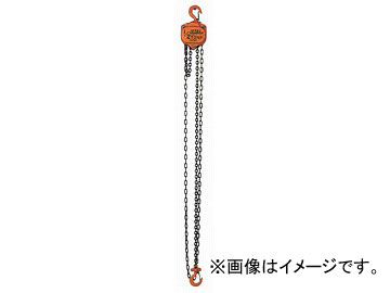バイタル チェンブロック0.5トン VP5-05(4641981) JAN：4954380040520