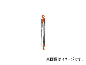 バイタル チェンブロック3ton VP5-30(4642023) JAN：4954380043033