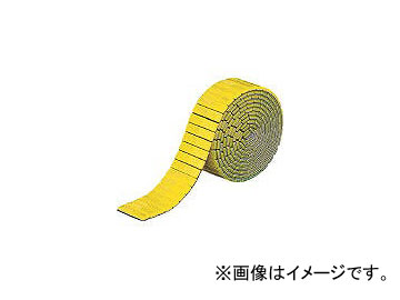 整形外科手術テクニック Orthopaedic visual
