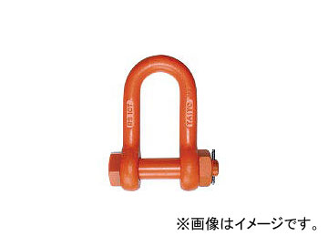 大洋製器工業/TAIYOSEIKI 軽量シャックル ストレート・ボルトナット 20t RS20T(3319482) JAN：4562156829905