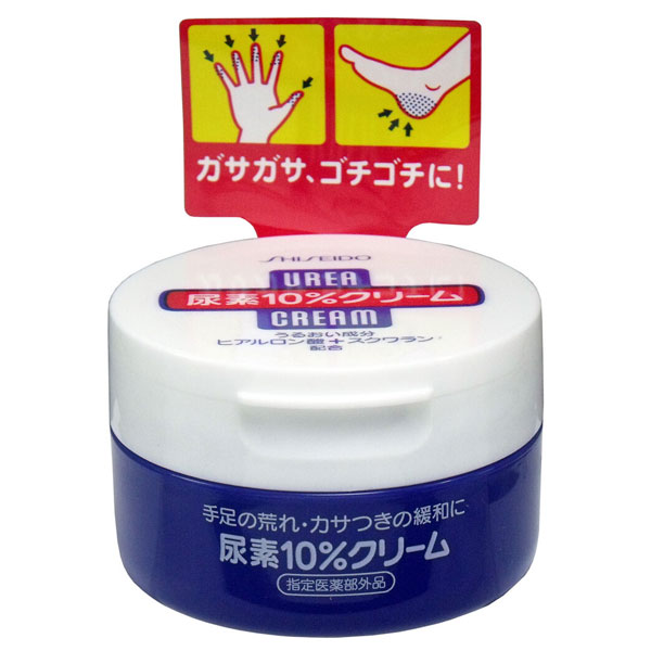 Ʋ Ǣ10%꡼ 㡼 100g