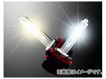 アクト LS LINE H.I.Dフォグランプ ECO LIGHTING SYSTEM for ECO CAR 6000K 入数：2個セット :445712260:オートパーツエージェンシー2号店