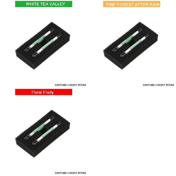 �K�p: �e�X��/TESLA ���f�� 3 2021 �A�N�Z�T���[ ���f�� Y �G�A �t���b�V���i�[ �z���C�g �e�B�[�o���[ 2�`�I�[�`���[�h 2 AL-OO-1310 AL