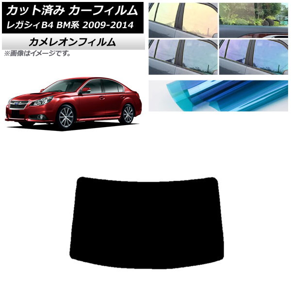 J[tB Xo KVB B4 BMn Z_ 2009N05`2014N10 AKX(1^) JI Iׂ3tBJ[ AP-WFCM0201-R1