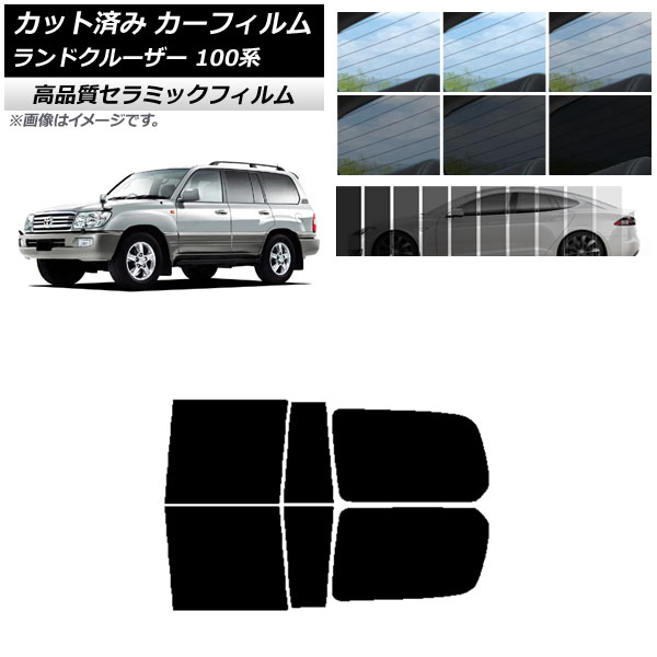 AP Jbgς J[tB NC UV fM AhAZbg g^ hN[U[ 100n 1998N`2007N Iׂ9tBJ[ AP-WFNC0092-RD