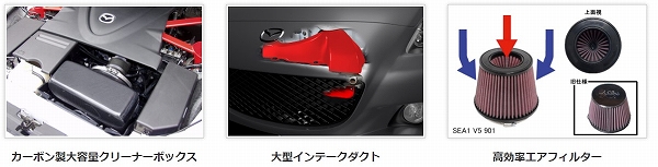 オートエクゼ/AutoExe ラムエアインテークシステム マツダ RX-8 SE3P 