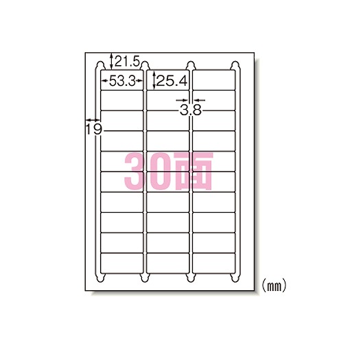 エーワン(A-one) ラベルシール インクジェット A4 30面 入数：1パック(20シート) 29191(08927)