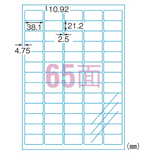エーワン(A-one) ラベルシール 透明 A4 65面 30665(38855)