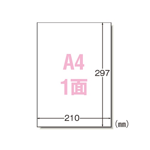 エーワン(A-one) ラベルシール プリンタ兼用 A4 ノーカット 入数：1箱(1000シート) 31151(60890)