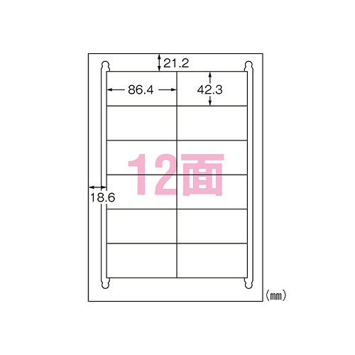 エーワン(A-one) ラベルシール プリンタ兼用 A4 12面 下地がかくせる修正タイプ 31563(04442)
