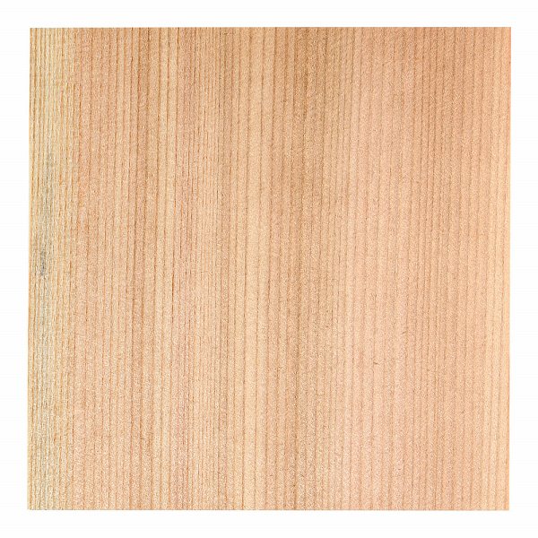 アーテック(artec) 天然杉懐紙 5寸 入数：1セット(100枚入) CE-03(QKIE95)