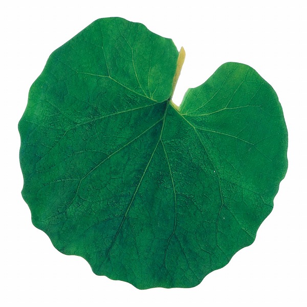 ヤマコー(Yamaco) 型抜きクリアシート ミニ・ふき 入数：1セット(200枚入) 65781(QKL1801)