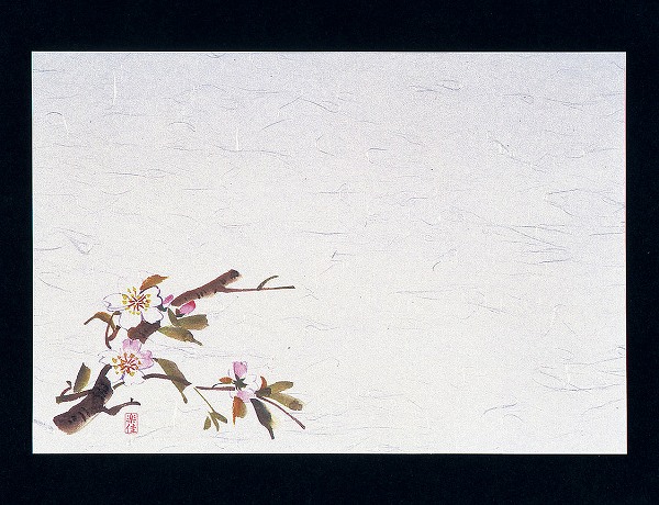 マイン(Mine) 四季紙 千寿 桜 26.5×39cm 入数：1セット(100枚入) M30-205(QSV24)