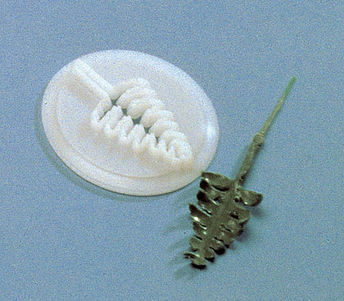 カルピット(Culpitt) シダの葉抜型 プラスチック製 86168(WNK46)
