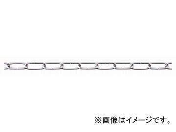 �j�b�T�`�F�C��/NISSA CHAIN �����NC�^�C�v �X�e�����X �d������ 30m SL20S JAN�F4968462063000