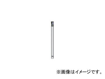 �I�[�G�X�W�[/OSG ���d�G���h�~�� FXMCF16XR0.4(6332625)