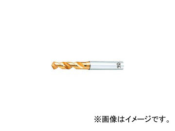 �I�[�G�X�W�[/OSG EX�S�[���h�h���� �X�e�����X�E��|�p�X�^�u 12.7mm EXSUSGDS12.7(2179377)