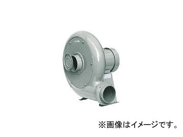 淀川電機製作所/YODOGAWADENKI IE3モータ搭載ターボ型電動送風機(0.75kW) BN5TP(4534981)