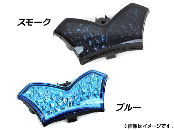 オートパーツエージェンシー - LED尾っぽ照明ランプ カワサキ ZZR1400 2006年〜2009年 選べる2色つや AP-BP-Z155 2輪 ブレーキ、テール-バイク-ライト、レンズ