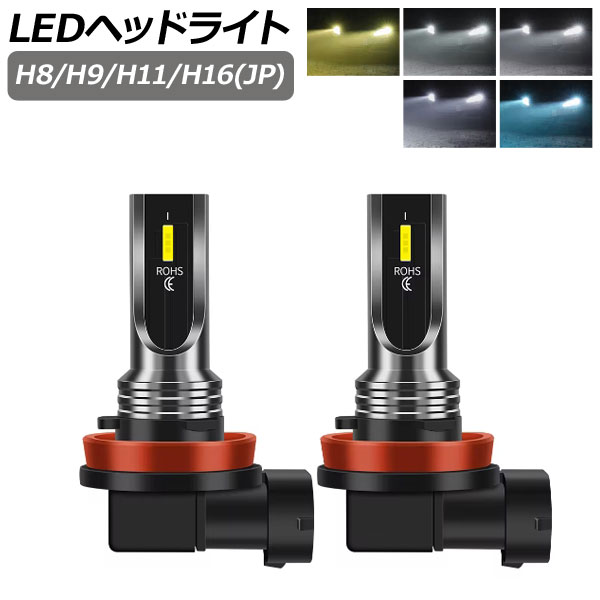 オートパーツエージェンシー LEDヘッドライト H8/H9/H11/H16(JP