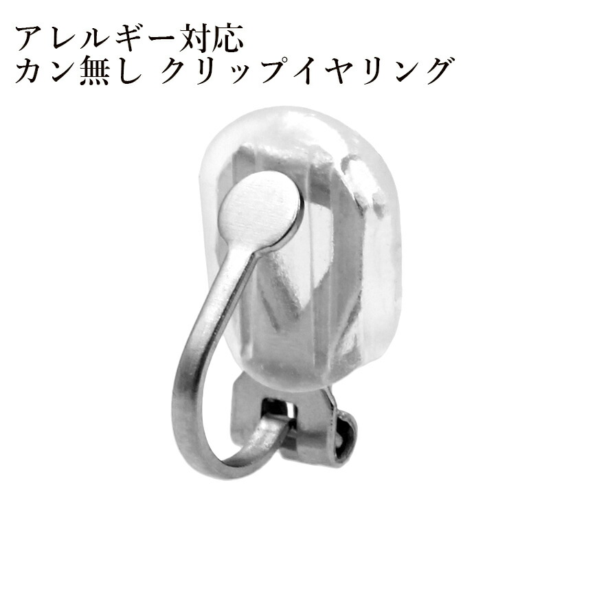 蝶バネイヤリング サージカルステンレス メルカリ便 22日まで アート陶器ピアス - メルカリ