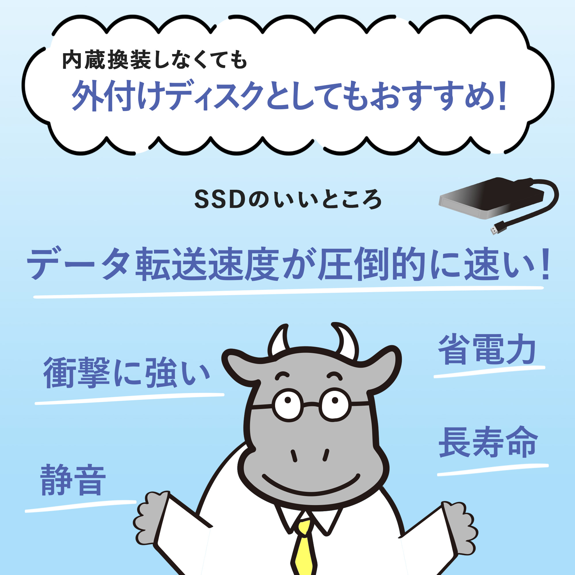 XrayDisk 1TB｜内蔵SSD 外付けSSD｜SSD SATAIII 2.5｜ノートブックPC用 デスクトップpc用｜送料無料｜apice-store｜11