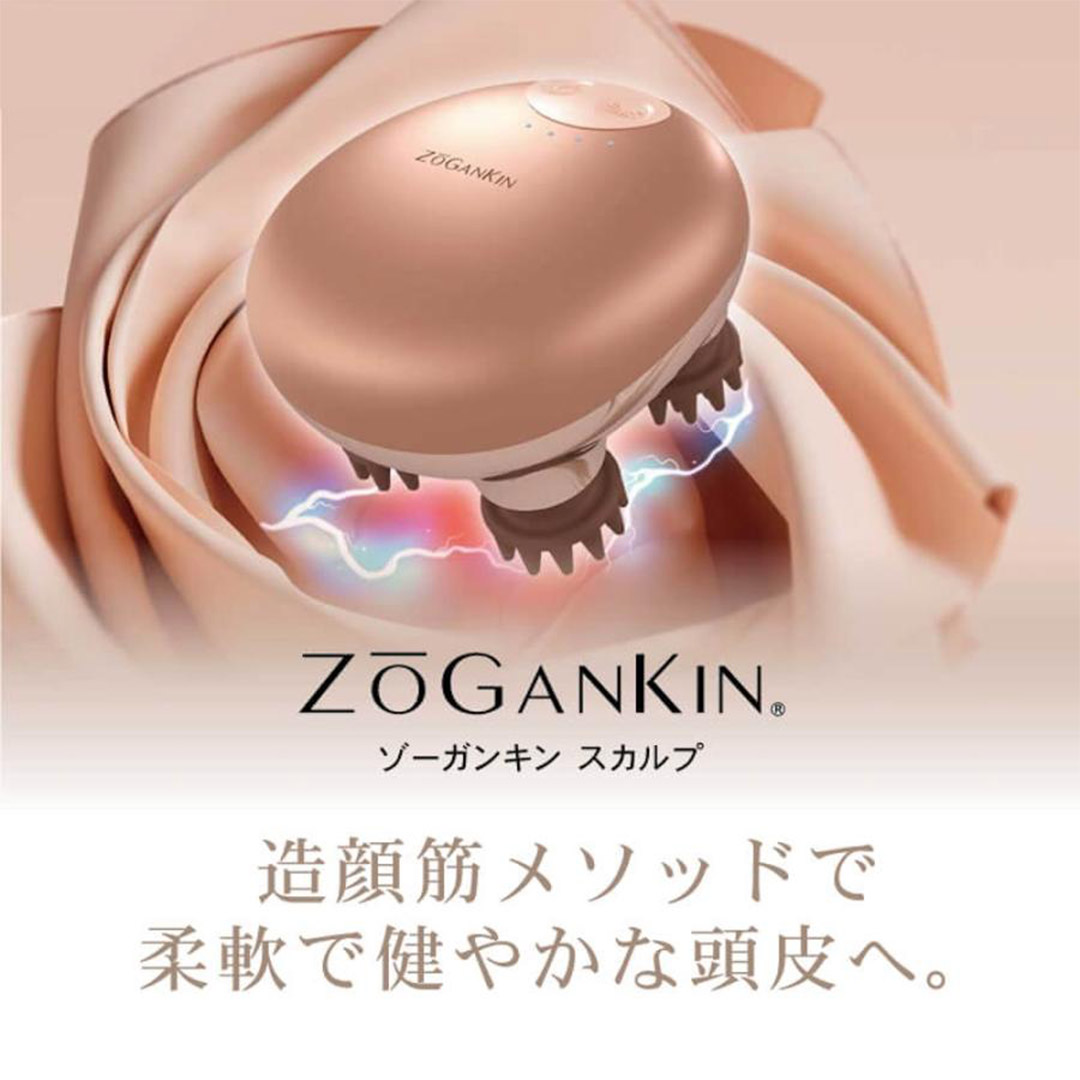 頭皮ケア マッサージ EMS スカルプケア ゾーガンキンスカルプ ヘッドスパ ZOGANKIN SCALP スカルプブラシ : wazg-0001 :  apish mo.no - 通販 - Yahoo!ショッピング