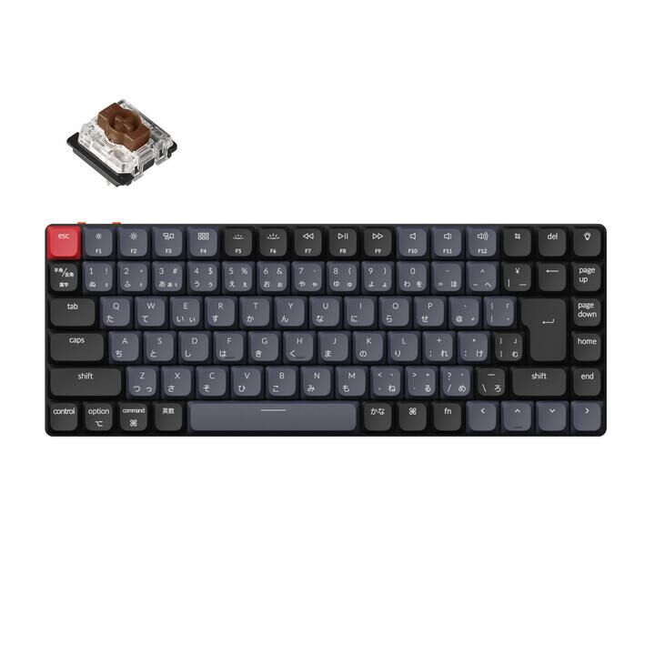elm2_4895248841593.jpg