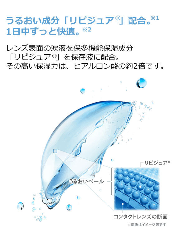 ワンデーアクエアトーリック