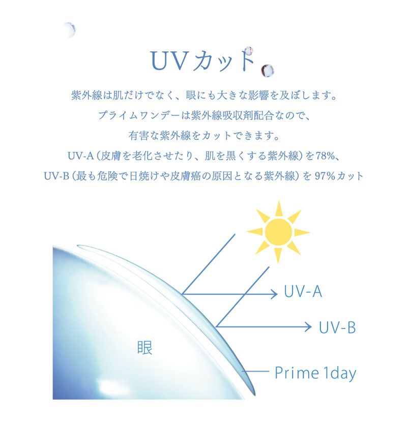 プライムワンデー説明画像