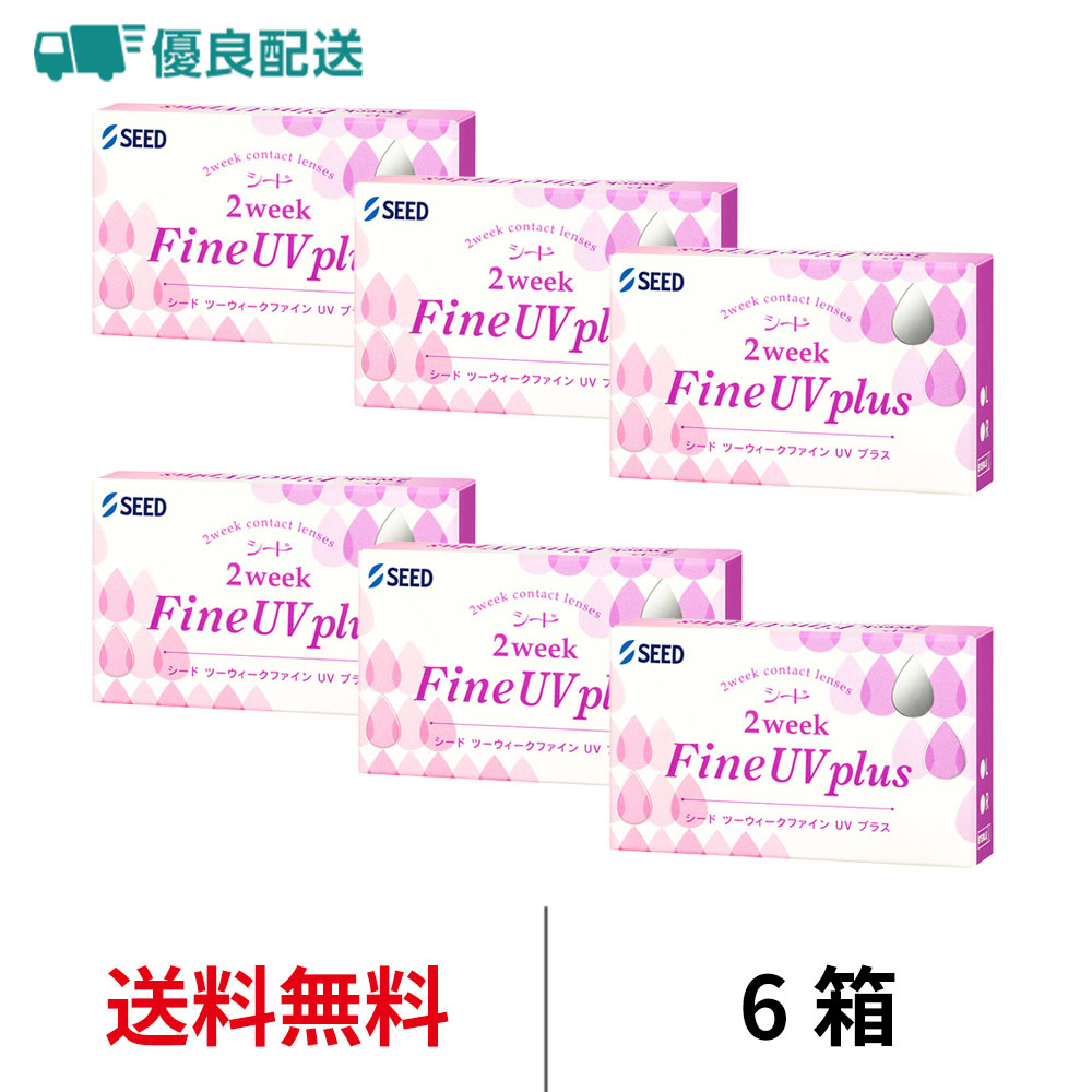 6箱セット