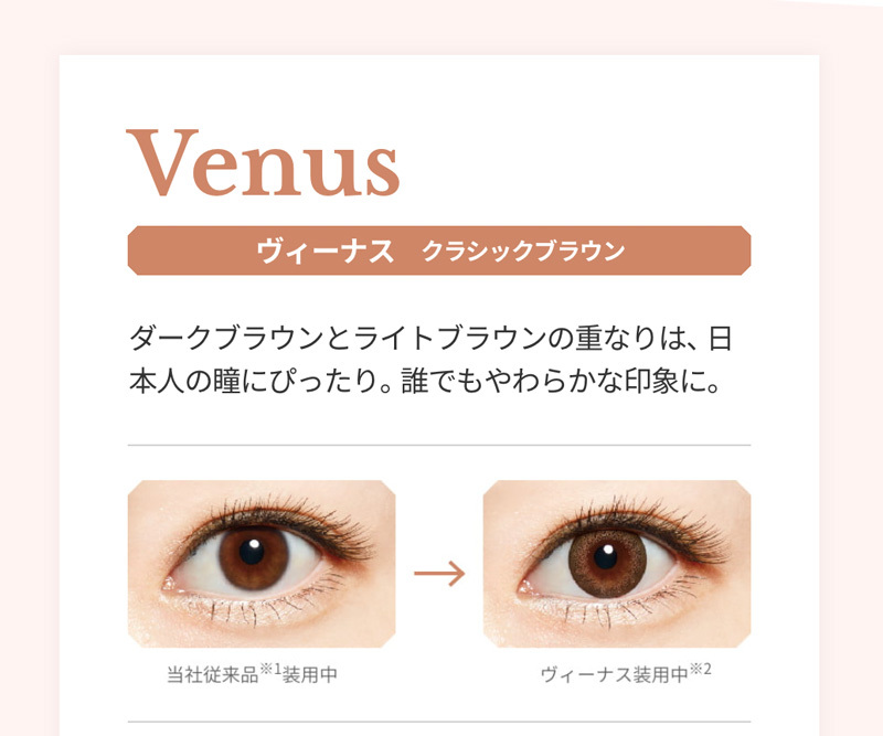 ボシュロム スターリー アドキット