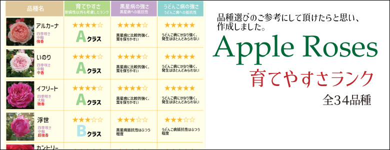 Apple Roses - Yahoo!ショッピング